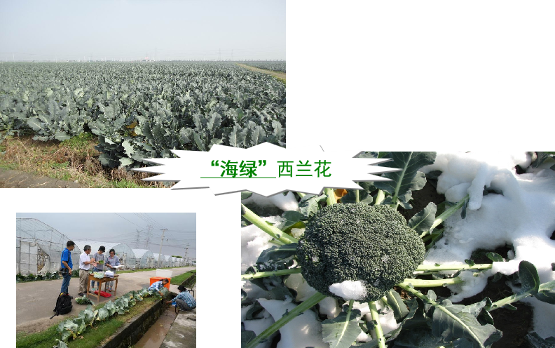 1-22031F93353317.png